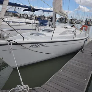 Arecadina Lisboa