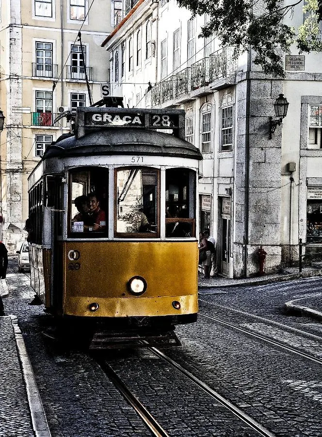 Apartment In The Best Location In Lisbon